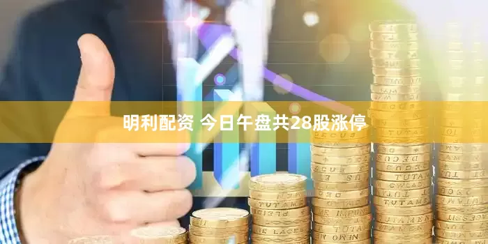 明利配资 今日午盘共28股涨停
