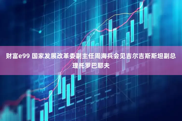 财富e99 国家发展改革委副主任周海兵会见吉尔吉斯斯坦副总理托罗巴耶夫