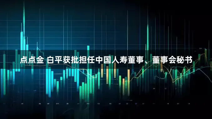 点点金 白平获批担任中国人寿董事、董事会秘书