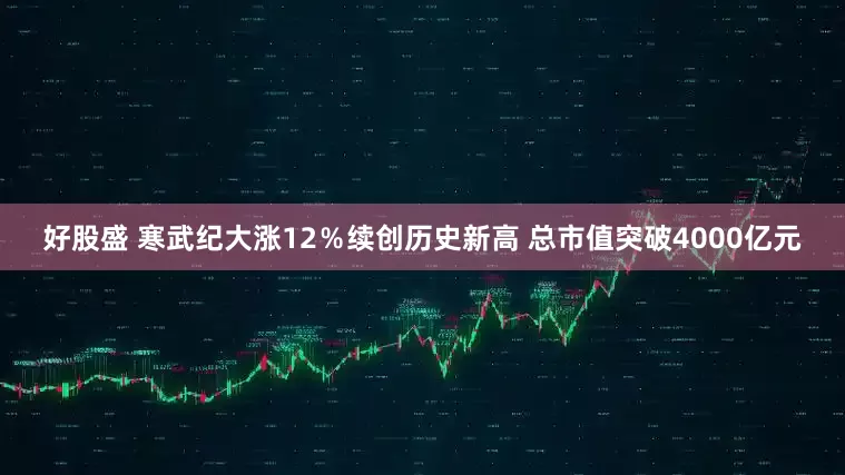 好股盛 寒武纪大涨12％续创历史新高 总市值突破4000亿元